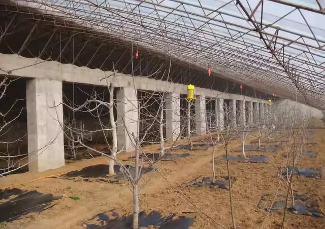 1583130891773509.jpeg 3.2-1.jpeg