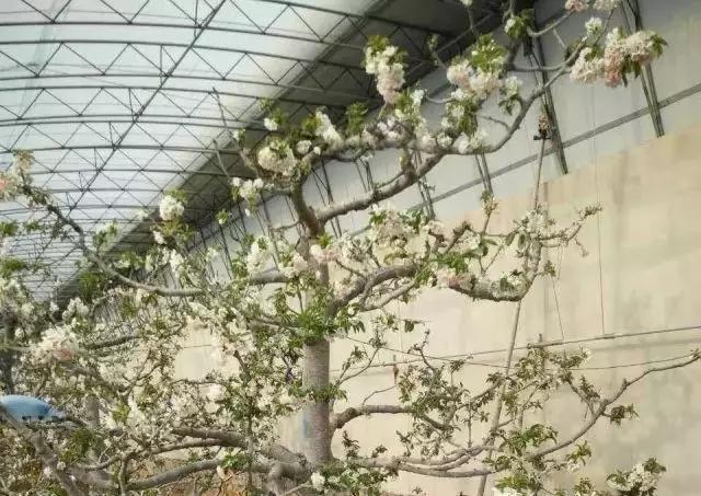 1583130924610526.jpeg 3.2-4.jpeg