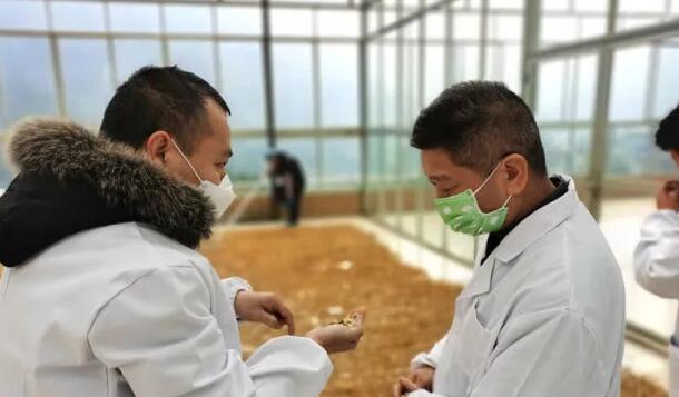 1584595384428073.jpg 3.19-21.jpg