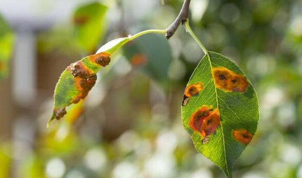 1606897336501183.jpg 12.2-22.jpg