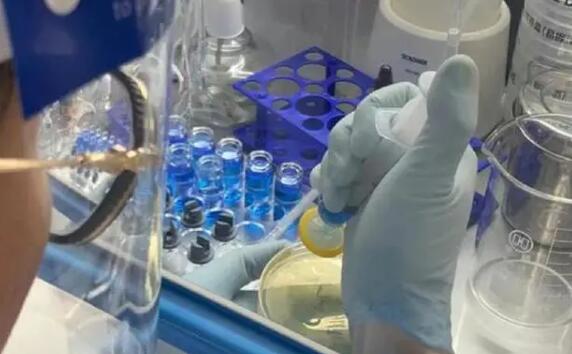 1633750959214139.jpg 1633750959214139.jpg