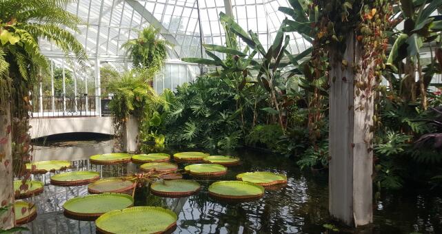 熱帶植物園溫濕度監(jiān)測(cè)