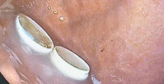 1712802396135727.jpg 1712802396135727.jpg