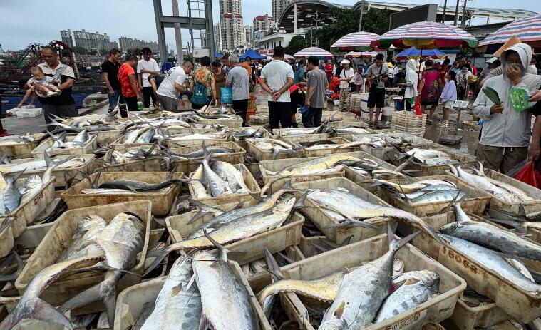 海鮮運輸溫濕度監(jiān)控 海鮮運輸溫濕度監(jiān)控