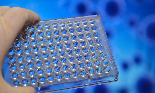 1767000300116246.jpg QQ20251229-172453.jpg